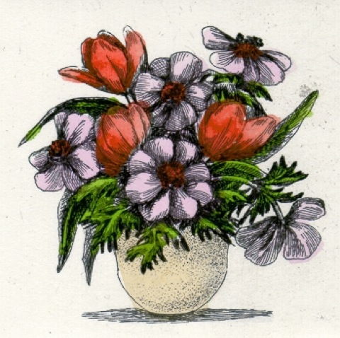 Blumen: Anemonen