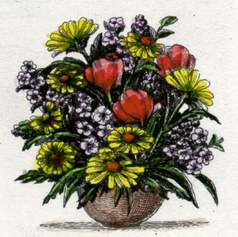 Blumen: Feldstrauß