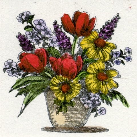 Blumen: Gerbera