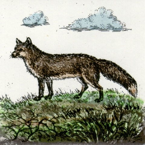 Fuchs