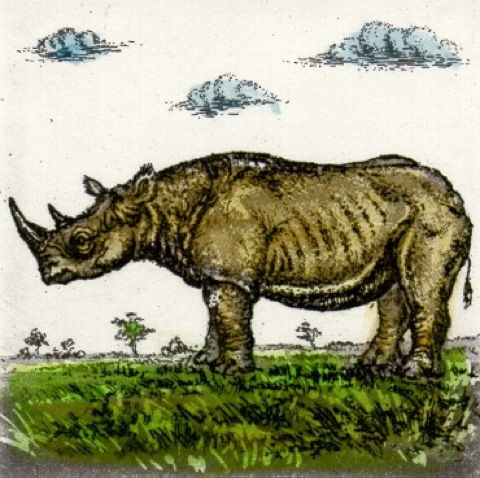 Nashorn