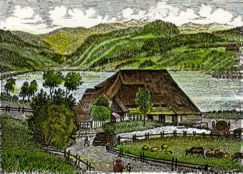 Titisee, Titisee um 1850