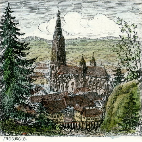 Freiburg, Dom